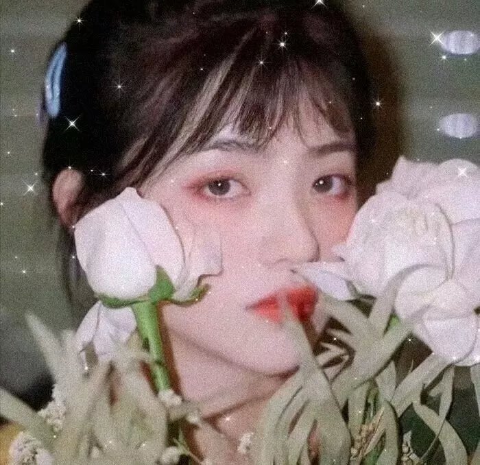 浪漫速成班